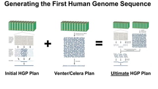 Initial HGP Plan Venter/Celera Plan Ultimate HGP Plan
+ =
Generating the First Human Genome Sequence
 