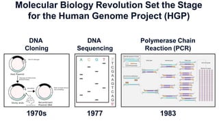 Molecular Biology Revolution Set the Stage
for the Human Genome Project (HGP)
1970s 1977 1983
DNA
Cloning
DNA
Sequencing
Polymerase Chain
Reaction (PCR)
 