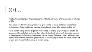 CONT…
Finally, Human Genome Project research will help solve one of the greatest mysteries
of life:
How does one fertilized egg "know" to give rise to so many different specialized
cells, such as those making up muscles, brain, heart, eyes, skin, blood, and so on?
For a human being or any organism to develop normally, a specific gene or sets of
genes must be switched on in the right place in the body at exactly the right moment
in development. Information generated by the Human Genome Project will shed light
on how this intimate dance of gene activity is choreographed into the wide variety of
organs and tissues that make up a human being.
 