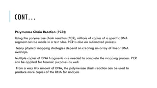 CONT…
Polymerase Chain Reaction (PCR):
Using the polymerase chain reaction (PCR), millions of copies of a specific DNA
segment can be made in a test tube. PCR is also an automated process.
Many physical mapping strategies depend on creating an array of linear DNA
overlaps.
Multiple copies of DNA fragments are needed to complete the mapping process. PCR
can be applied for forensic purposes as well.
From a very tiny amount of DNA, the polymerase chain reaction can be used to
produce more copies of the DNA for analysis
 