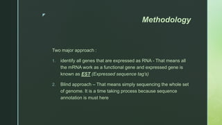 z
Methodology
Two major approach :
1. identify all genes that are expressed as RNA - That means all
the mRNA work as a functional gene and expressed gene is
known as EST (Expressed sequence tag’s)
2. Blind approach – That means simply sequencing the whole set
of genome. It is a time taking process because sequence
annotation is must here
 