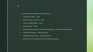 z
 Scientists sequence different kind of organisms :
1. Arabidopsis thaliana – plant
2. Saccharomyces cerevisiae – yeast
3. Caenor habditis elegans – worm
4. Mus musculus – mouse
5. Mycobacterium genitalium (having smallest genome) - 569 kilo base pair genome
6. Hemophilus influnzae – 1830 kbp genome
7. Methanococcus janaschii – 1660 kbp genome
 Yeast having 16 chromosome and having 12500 kbp genome.
 