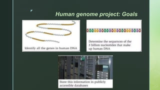 z
Human genome project: Goals
 