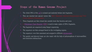 human genome project_094513.pptx