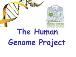 The Human Genome Project   