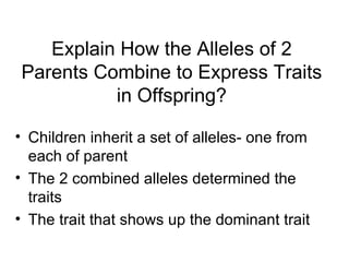 Explain How the Alleles of 2 Parents Combine to Express Traits in Offspring? Children inherit a set of alleles- one from each of parent The 2 combined alleles determined the traits The trait that shows up the dominant trait 