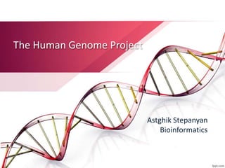 The Human Genome Project
Astghik Stepanyan
Bioinformatics
 