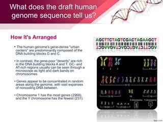 Building Genome Project The Human Genome Project | PPTX