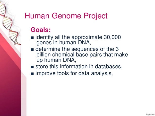 The Human Genome Project