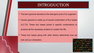INTRODUCTION
• The term genome denotes to the total gene pool of an organism.
• Human genome is made up of myriad combination of four bases
A,C,T,G. These four bases joined in specific combinations to
produce all the necessary proteins to sustain the life.
• These four bases along with other factors determines how we
look and our characters.
 