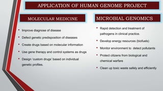 • Improve diagnose of disease
• Defect genetic predisposition of diseases
• Create drugs based on molecular information
• Use gene therapy and control systems as drugs
• Design ‘custom drugs’ based on individual
genetic profiles.
• Rapid detection and treatment of
pathogens in clinical practice.
• Develop energy resources (biofuels)
• Monitor environment to detect pollutants
• Protect citizens from biological and
chemical warfare
• Clean up toxic waste safely and efficiently
APPLICATION OF HUMAN GENOME PROJECT
MOLECULAR MEDICINE MICROBIAL GENOMICS
 