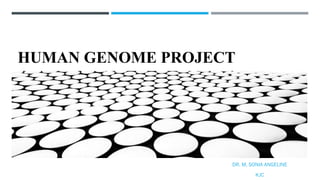HUMAN GENOME PROJECT
DR. M. SONIA ANGELINE
KJC
 
