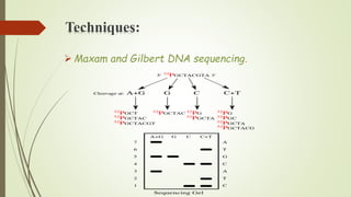 Techniques:
 Maxam and Gilbert DNA sequencing.
 