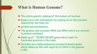 What is Human Genome?
 The entire genetic makeup of the human cell nucleus.
 Genes carry the information for making all of the proteins
required by the body for
 growth and maintenance.
 The genome also encodes rRNA and tRNA which are involved
in protein synthesis.
 Made up of "'35,000-50,000 genes which code for
functional proteins in the body.
 Includes non-coding sequences located between genes,
which makes up the vast majority of DNA in the genome
(~90)
 