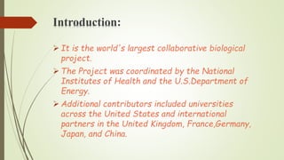 Introduction:
 It is the world's largest collaborative biological
project.
 The Project was coordinated by the National
Institutes of Health and the U.S.Department of
Energy.
 Additional contributors included universities
across the United States and international
partners in the United Kingdom, France,Germany,
Japan, and China.
 