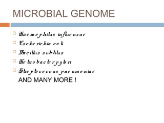 MICROBIAL GENOME
   Ha e m o p hilus influe nz a e
   Es c he ric hia c o li
   Ba c illus s ubtilus
   He lic o ba c te r p y lo ri
   Stre p to c o c c us p ne um o nia e
    AND MANY MORE !
 