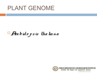 PLANT GENOME



   A bid o p s is tha lia na
     ra
 