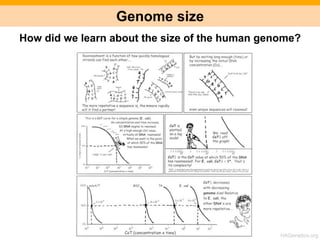 The Human Genome Project - Part I | PDF