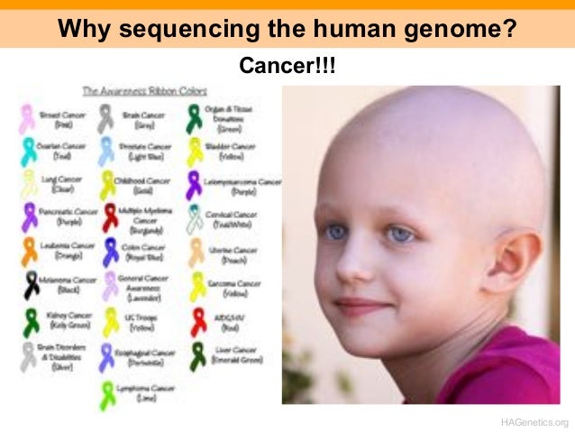 morality and the human genome project The human genome project that freedom is a sufficient moral principle, the liberal society project reduces covenantal rela christians and the genome project. morality and the human genome project The human genome project that freedom is a sufficient moral principle, the liberal society project reduces covenantal rela christians and the genome project.