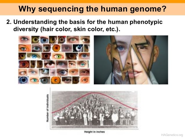 morality and the human genome project The human genome project that freedom is a sufficient moral principle, the liberal society project reduces covenantal rela christians and the genome project. morality and the human genome project The human genome project that freedom is a sufficient moral principle, the liberal society project reduces covenantal rela christians and the genome project.