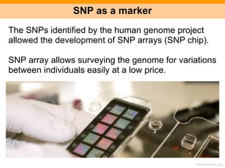 The Human Genome Project - Part III | PDF