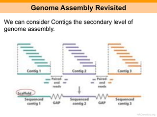 The Human Genome Project - Part III | PDF