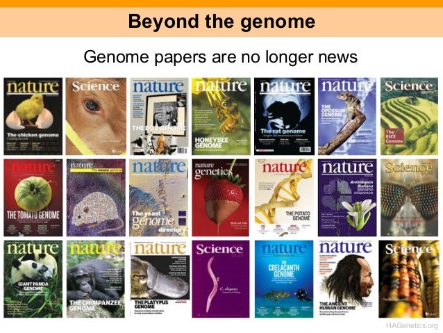 Human genome project essay