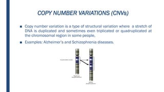 Human genome variation | PDF