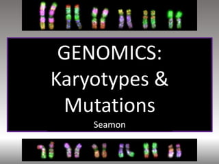 GENOMICS:
Karyotypes &
Mutations
Seamon
 