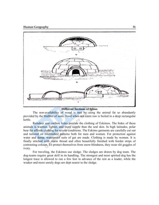 Human Geography 31
Different Sections of Igloos
The non-availability of wood is met by using the animal fat so abundantly
provided by the blubber of seals. Food when not eaten raw is boiled in a deep rectangular
kettle.
Reindeer and caribou hides provide the clothing of Eskimos. The hides of these
animals is warmer, lighter, and more supple than the seal skin. In high latitudes, polar
bear fur affords clothing for severe conditions. The Eskimo garments are carefully cut out
and tailored on established patterns both for men and women. For protection against
water and damp, waterproof suits of gut are made. Clothing is made by women. It is
finally stitched with sinew thread and often beautifully finished with border strips of
contrasting colours. To protect themselves from snow-blindness, they wear slit goggles of
ivory.
For traveling, the Eskimos use sledge. The sledges are drawn by dog team. The
dog-teams require great skill in its handling. The strongest and most spirited dog has the
longest trace is allowed to run a few feet in advance of the rest as a leader, while the
weaker and more unruly dogs are dept nearer to the sledge.
 