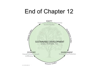 End of Chapter 12
 