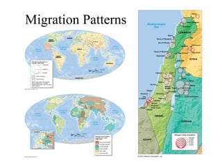 Migration Patterns
 