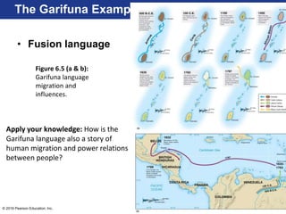 © 2016 Pearson Education, Inc.
• Fusion language
The Garifuna Example
Figure 6.5 (a & b):
Garifuna language
migration and
influences.
Apply your knowledge: How is the
Garifuna language also a story of
human migration and power relations
between people?
 