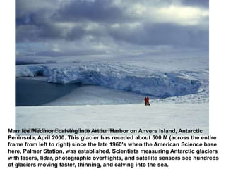 Marr Ice Piedmont calving into Arthur Harbor on Anvers Island, Antarctic
Peninsula, April 2000. This glacier has receded about 500 M (across the entire
frame from left to right) since the late 1960's when the American Science base
here, Palmer Station, was established. Scientists measuring Antarctic glaciers
with lasers, lidar, photographic overflights, and satellite sensors see hundreds
of glaciers moving faster, thinning, and calving into the sea.
 