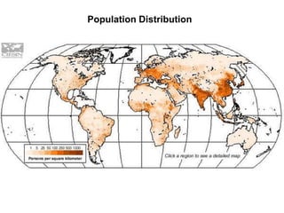Population Distribution
 