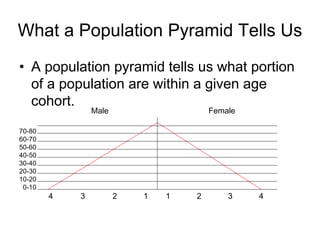 What a Population Pyramid Tells Us
• A population pyramid tells us what portion
of a population are within a given age
cohort.
70-80
60-70
50-60
40-50
30-40
20-30
10-20
0-10
4 3 2 1 1 2 3 4
Male Female
 
