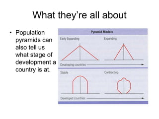 What they’re all about
• Population
pyramids can
also tell us
what stage of
development a
country is at.
 