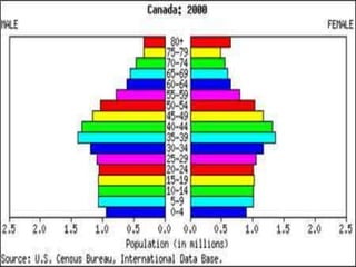 In conclusion…
• The composition of a population can tell us
a lot about the country to which its citizens
belong.
• What do you think Canada’s population
pyramid looks like?
 