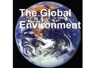 The Global
Environment
 