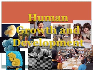 Human growth and development-