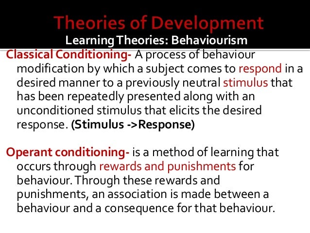 Buy research papers online cheap developmental theories in child development