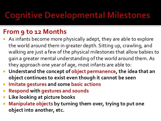 developmental psychology reflective essay developmental psychology reflective essay
