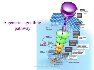 11
A generic signalling
pathway
Dept of Urology, GRH and KMC, Chennai.
 