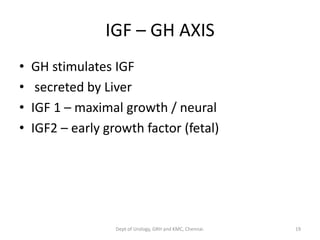 IGF – GH AXIS
• GH stimulates IGF
• secreted by Liver
• IGF 1 – maximal growth / neural
• IGF2 – early growth factor (fetal)
19
Dept of Urology, GRH and KMC, Chennai.
 