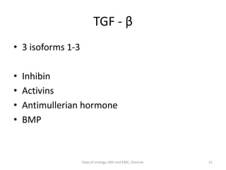 TGF - β
• 3 isoforms 1-3
• Inhibin
• Activins
• Antimullerian hormone
• BMP
21
Dept of Urology, GRH and KMC, Chennai.
 