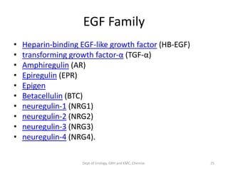 EGF Family
• Heparin-binding EGF-like growth factor (HB-EGF)
• transforming growth factor-α (TGF-α)
• Amphiregulin (AR)
• Epiregulin (EPR)
• Epigen
• Betacellulin (BTC)
• neuregulin-1 (NRG1)
• neuregulin-2 (NRG2)
• neuregulin-3 (NRG3)
• neuregulin-4 (NRG4).
25
Dept of Urology, GRH and KMC, Chennai.
 