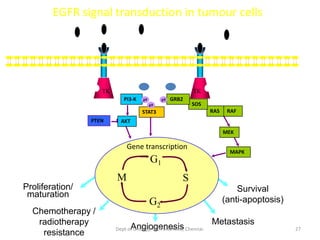 TK
TK
EGFR signal transduction in tumour cells
Survival
(anti-apoptosis)
PI3-K
STAT3
AKT
PTEN
MEK
Gene transcription
MAPK
Proliferation/
maturation
Chemotherapy /
radiotherapy
resistance
Angiogenesis
Metastasis
pY
pY
RAS RAF
SOS
GRB2
pY
G1
S
M
G2
27
Dept of Urology, GRH and KMC, Chennai.
 