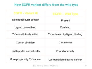 EGFR - Variant III EGFR – Wild Type
No extracellular domain Present
Ligand cannot bind Can bind
TK constitutively active TK activated by ligand binding
Cannot dimerise Can dimerise
Not found in normal cells Found normally
More propensity for cancer Up regulation leads to cancer
How EGFR variant differs from the wild type
28
Dept of Urology, GRH and KMC, Chennai.
 
