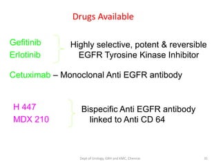 Drugs Available
Gefitinib
Erlotinib
Highly selective, potent & reversible
EGFR Tyrosine Kinase Inhibitor
Cetuximab – Monoclonal Anti EGFR antibody
H 447
MDX 210
Bispecific Anti EGFR antibody
linked to Anti CD 64
31
Dept of Urology, GRH and KMC, Chennai.
 