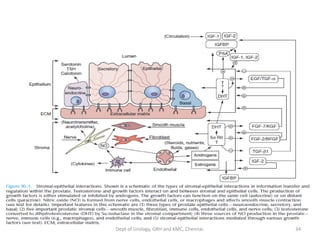 34
Dept of Urology, GRH and KMC, Chennai.
 